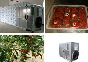 夏季果蔬專用干燥機 高效節能，助力果蔬加工產業升級