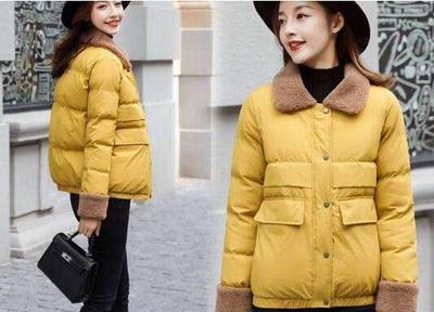 中國羽絨制品國內市場潛力巨大,面臨的是一個巨大的等待喚醒的市場