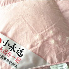 淮安市淮安區(qū)鑫豐羽絨制品廠