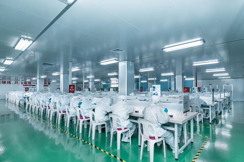 燕之屋自有工廠(chǎng)出品,高品質(zhì)燕窩有保障