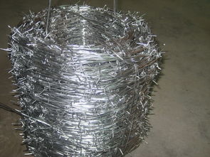 帶刺圍網(wǎng)報(bào)價(jià) 廠(chǎng)家