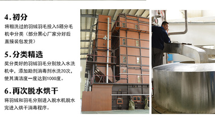 【羽絨羽毛水洗白鴨毛片 枕頭床墊填充原材料 2~4cm鴨毛片工廠批發(fā)】?jī)r(jià)格,廠家,圖片,羽毛、羽絨,安徽方翔羽絨制品-