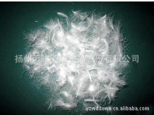 揚(yáng)州萬(wàn)達(dá)羽絨制品：專(zhuān)業(yè)韓版女式高檔羽絨服批發(fā)與訂單加工服務(wù)